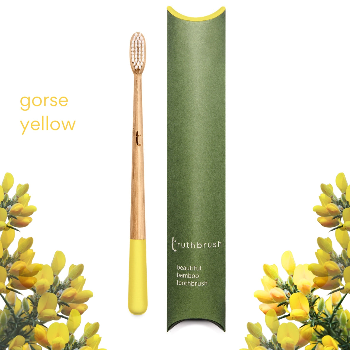 Gorse Yellow Truthbrush MEDIUM  Subscription