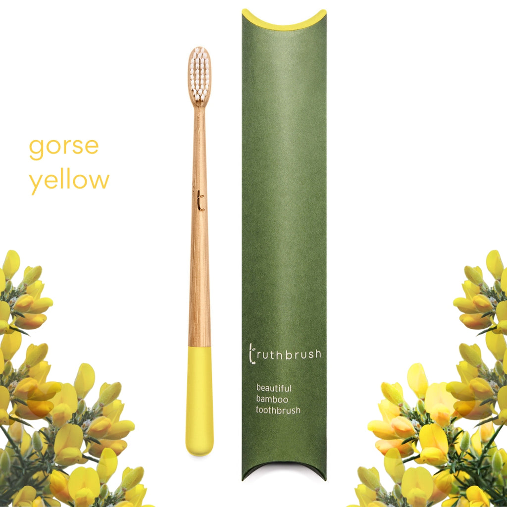 Gorse Yellow Truthbrush SOFT  Subscription
