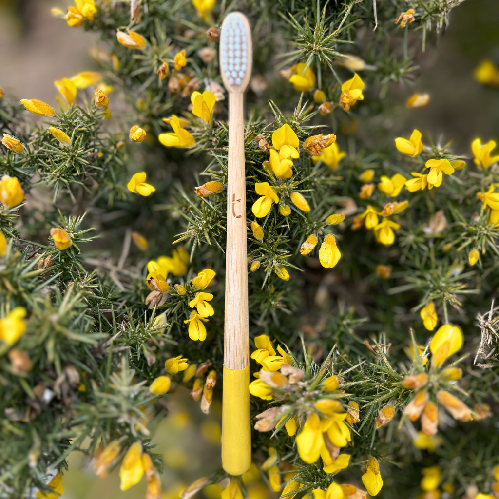 Truthbrush Bamboo Toothbrush Gorse Yellow Medium