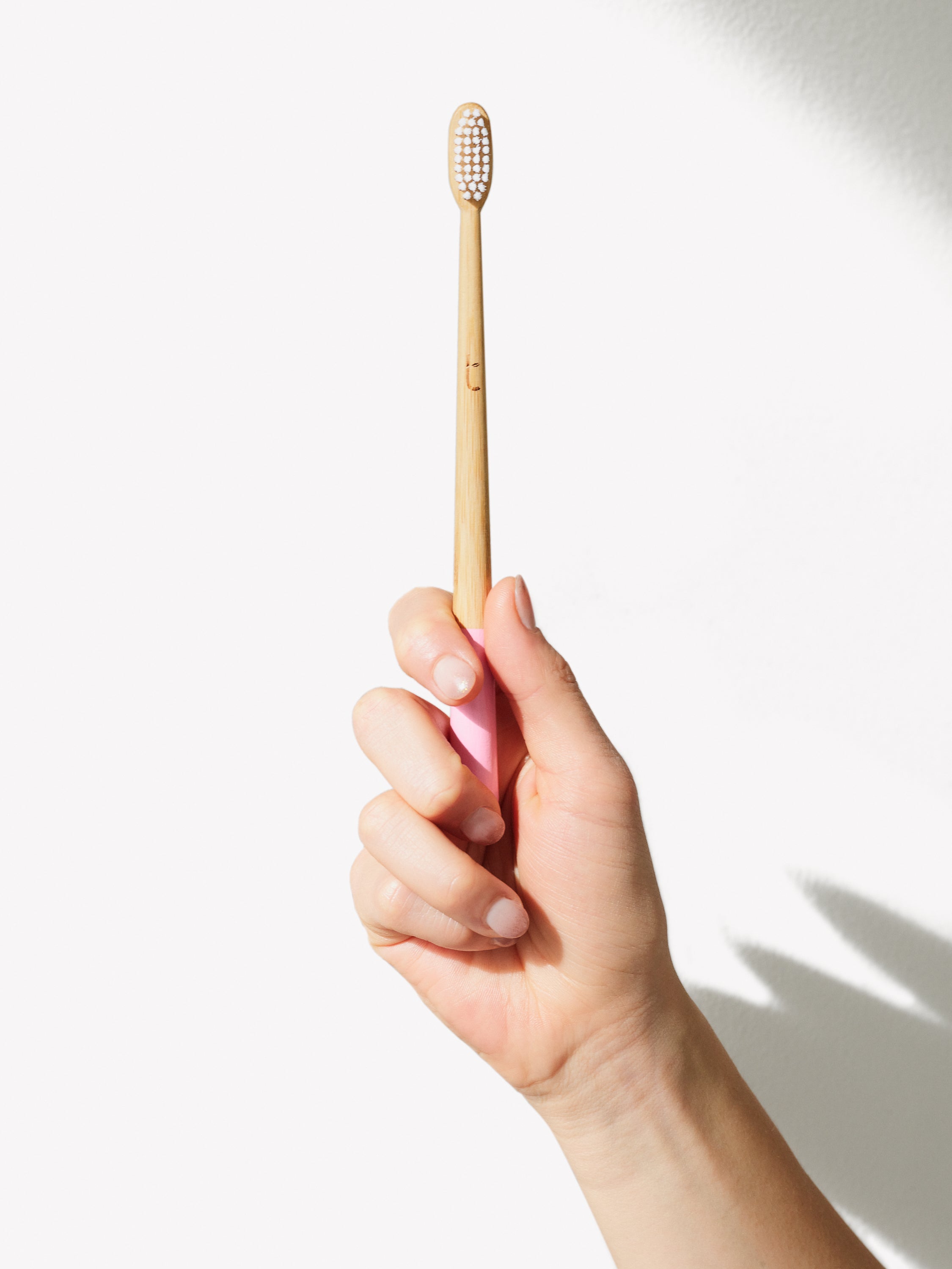 Petal Pink Truthbrush MEDIUM   Subscription